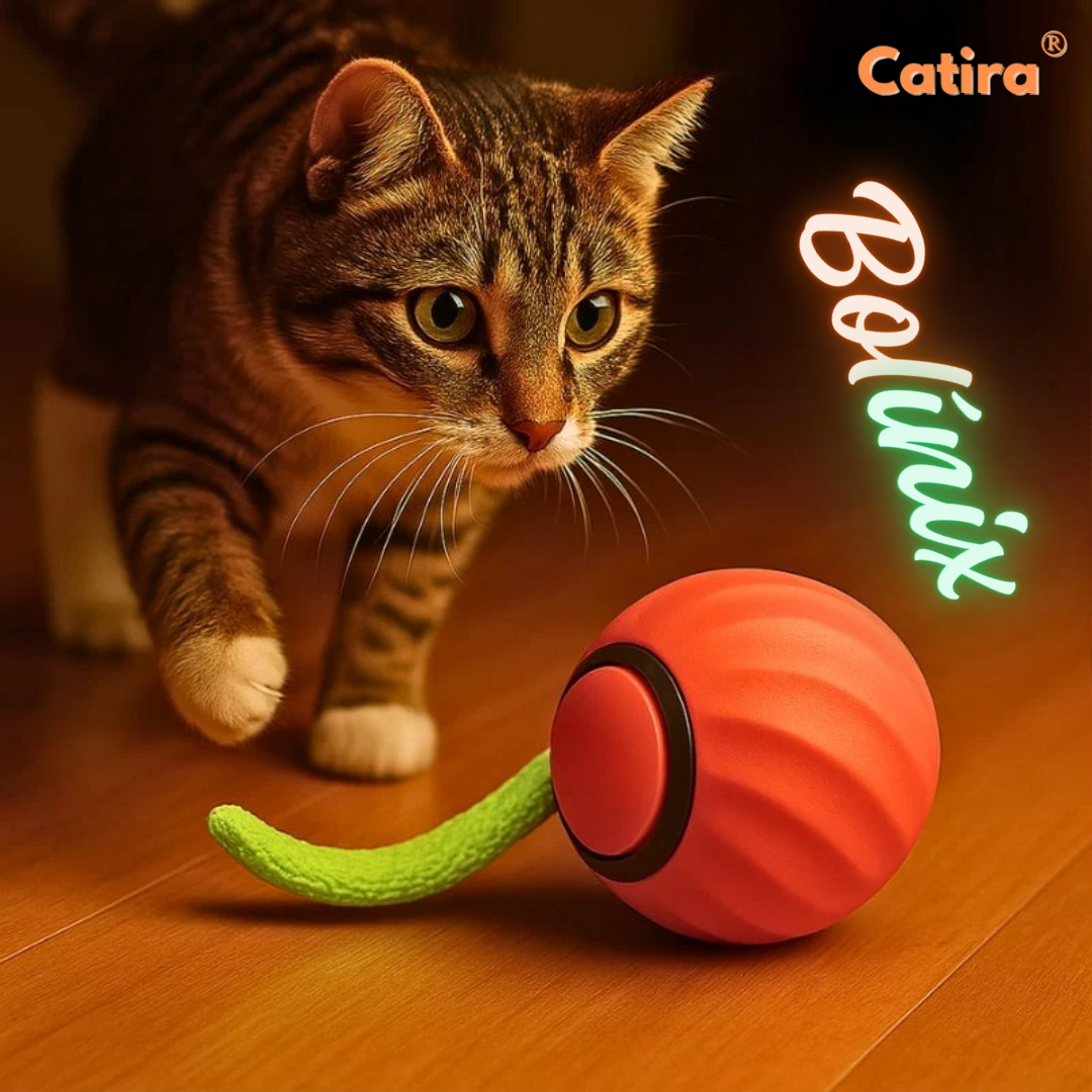Petira™ Bolínix