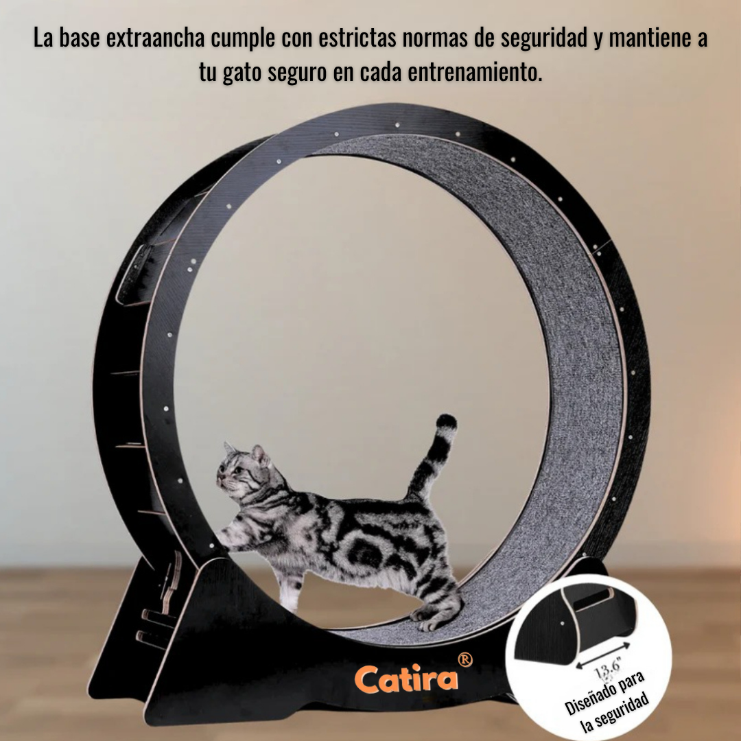 Petira™ GatoFit