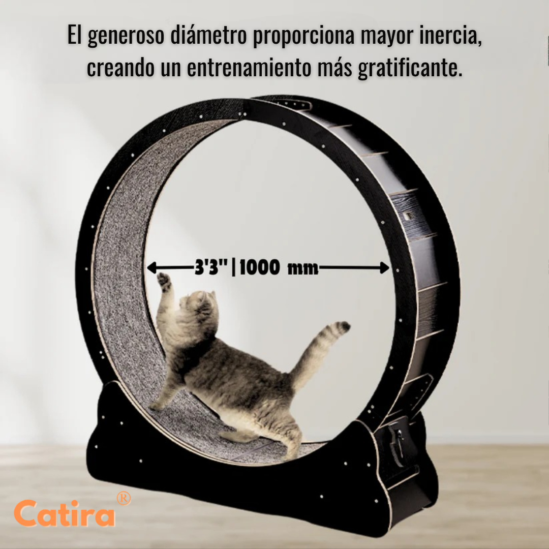 Petira™ GatoFit
