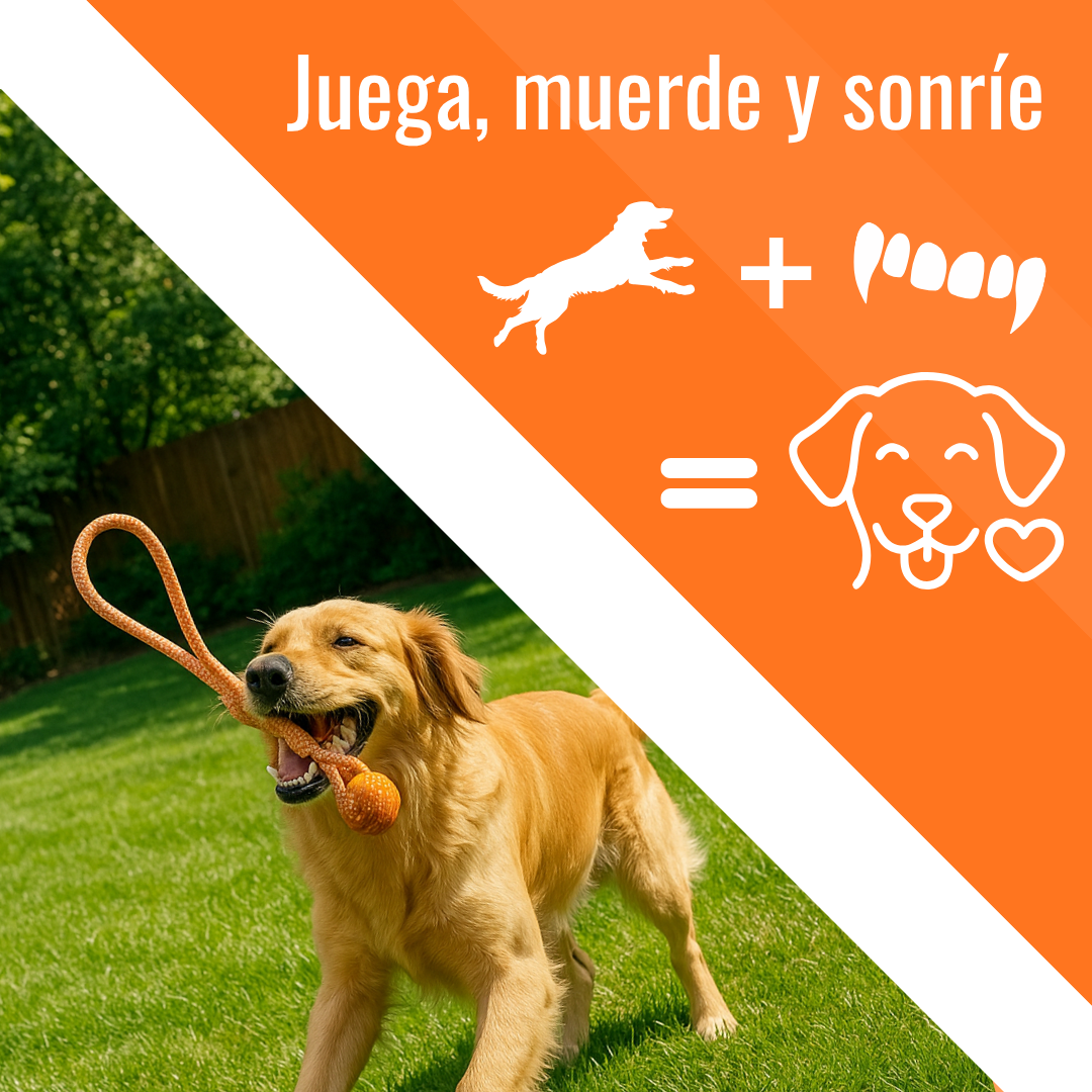 Petira™ Mordilazo - Resiste su energía, mejora su sonrisa.