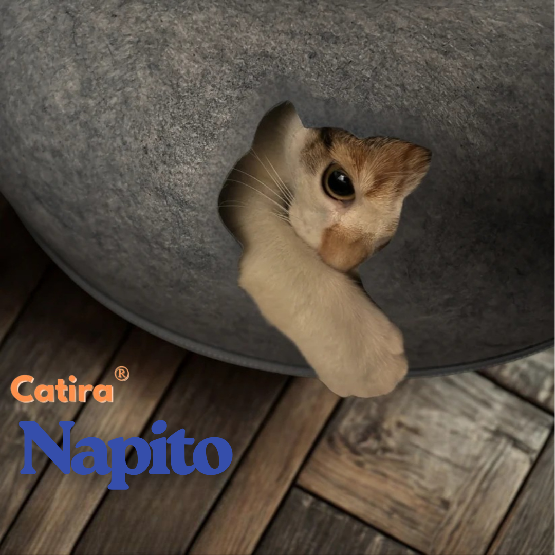 Petira™ Napito