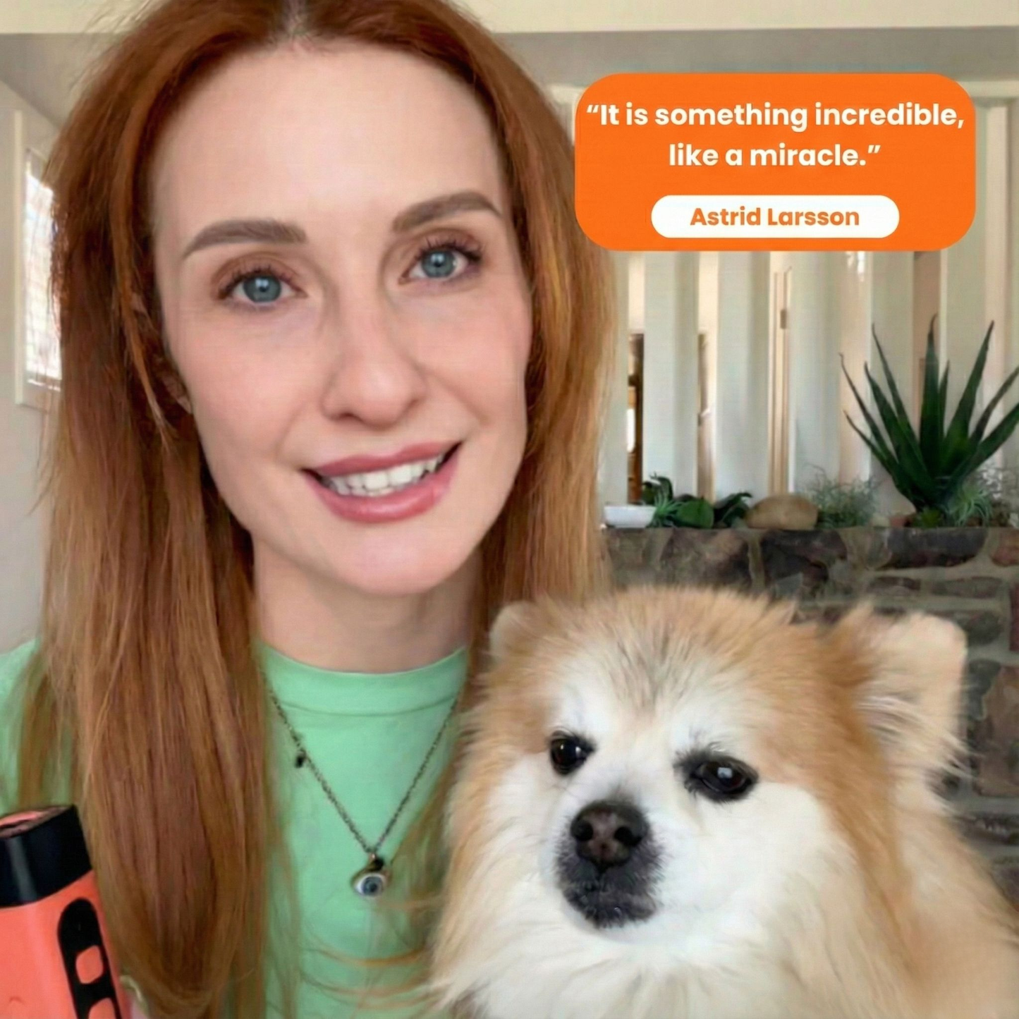 Petira™ BarkOFF – The solution to unnecessary barking