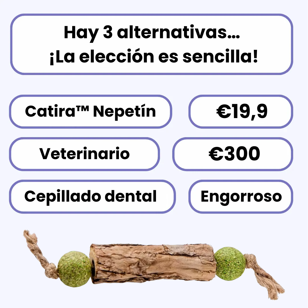 Petira™ Nepetín