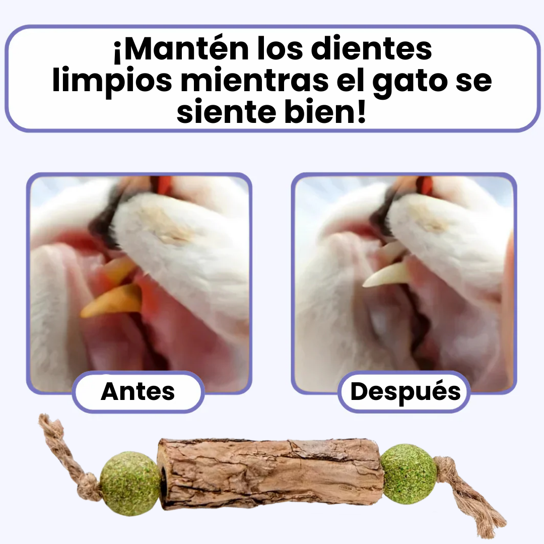 Petira™ Nepetín