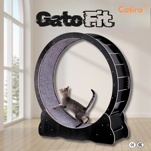 Petira™ GatoFit