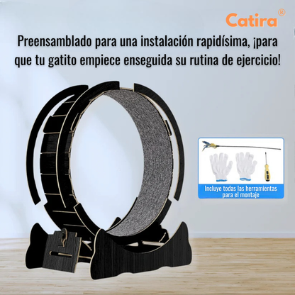 Petira™ GatoFit