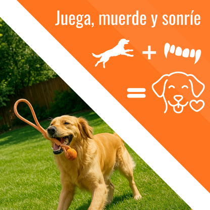 Petira™ Mordilazo - Resiste su energía, mejora su sonrisa.