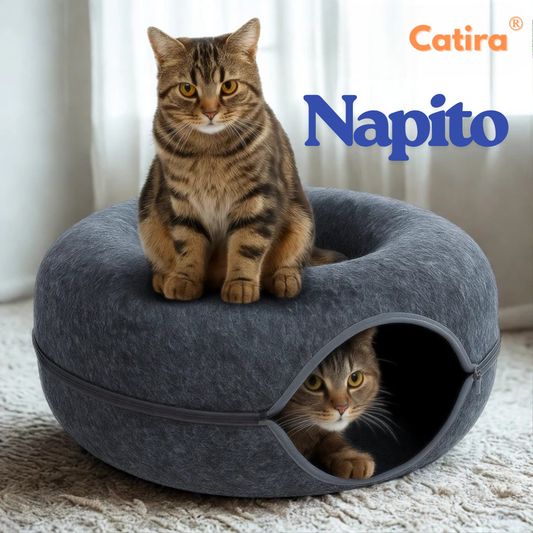 Petira™ Napito