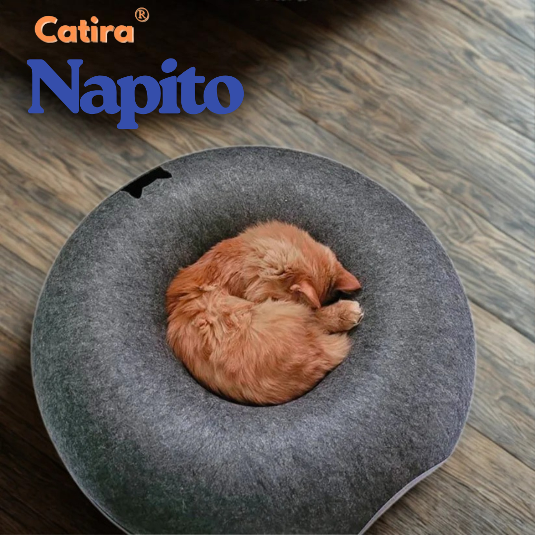 Petira™ Napito