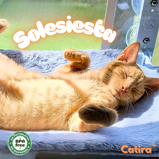 Petira™ Solesiesta